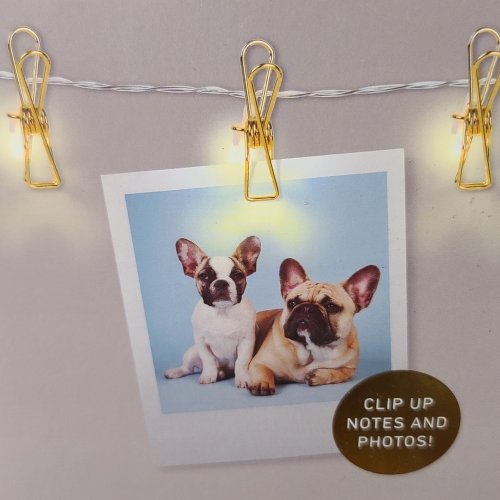 🆕️2 Pack LED Gold Clip String Lights